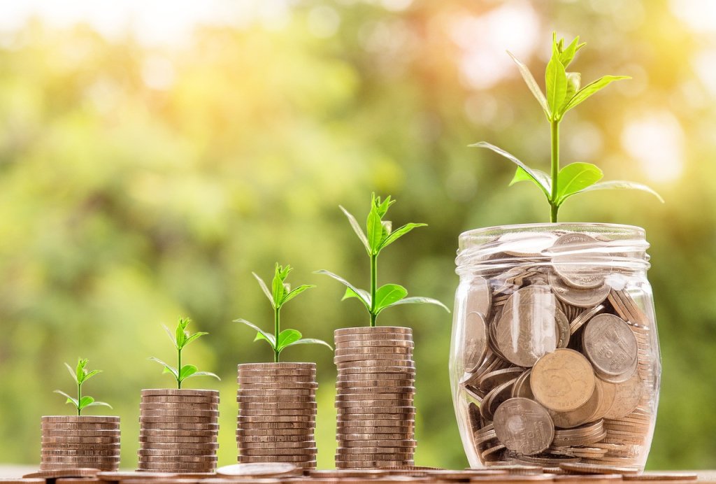 Four stacks of coins which become higher left to right on the screen with a jar of coins on the right hand side. Each is topped by a seedling which is bigger the more coins it sits on.