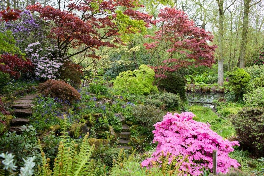 A spring garden of trees and shrubs.